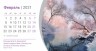 Календарь настольный перекидной "Путь мудрости" 2021 год купить в  Христианский магазин КориснаКнига
